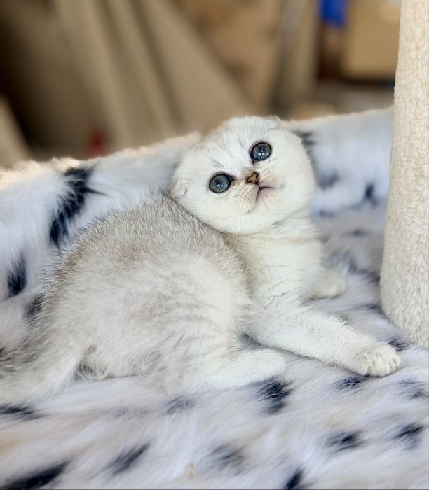 Малыши с документами