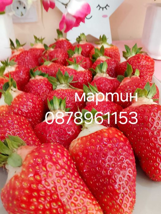 Разсад ягоди и малини