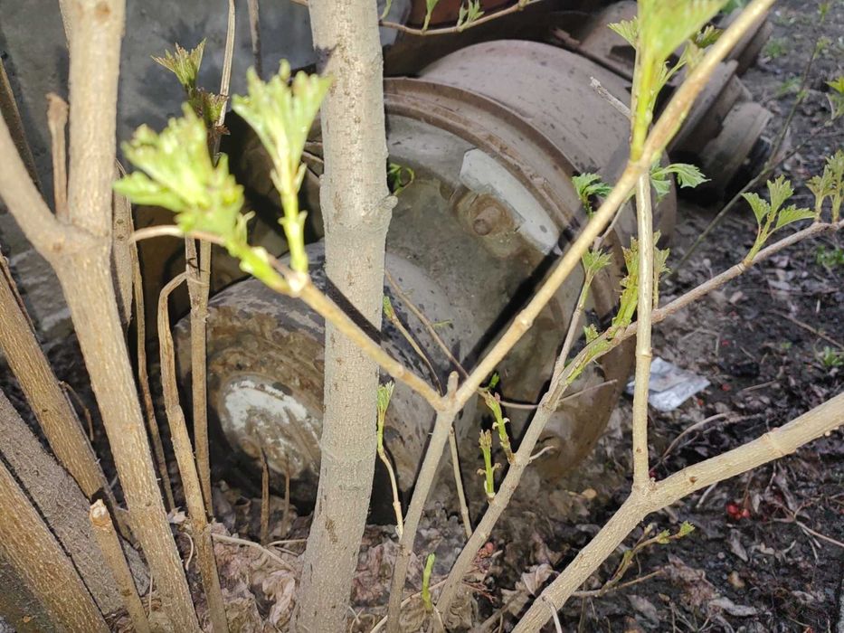 Мост  RABA  на клиньях