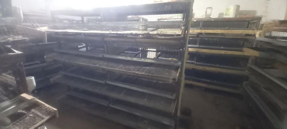 Продаеться сетка для содержания перепелки