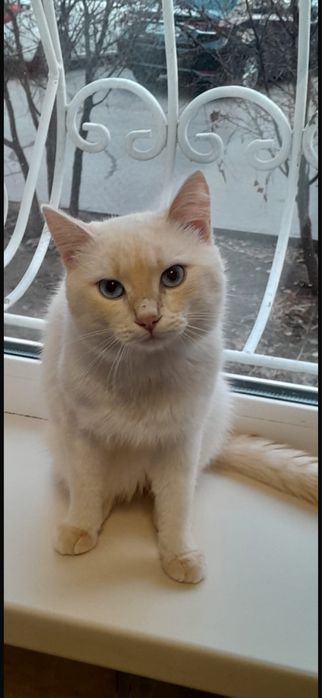 В ответственные руки