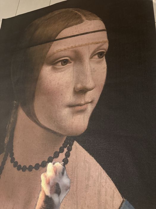 Tapet 3 d canvas