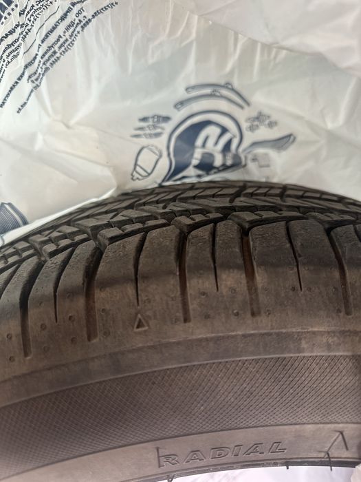 Летние шины Tigar R18 215/55