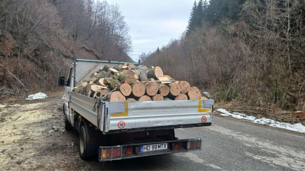 Lemne foc boci,3M,metru