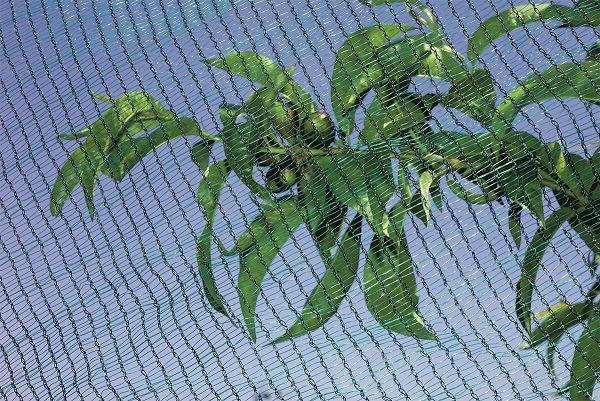 ANTIGRINDINA 4x50m= 440lei; 4x100m=825; OchiuriInnodate+MargineDublata