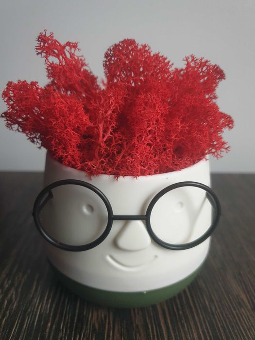 Кашпа със скандинавски мъх