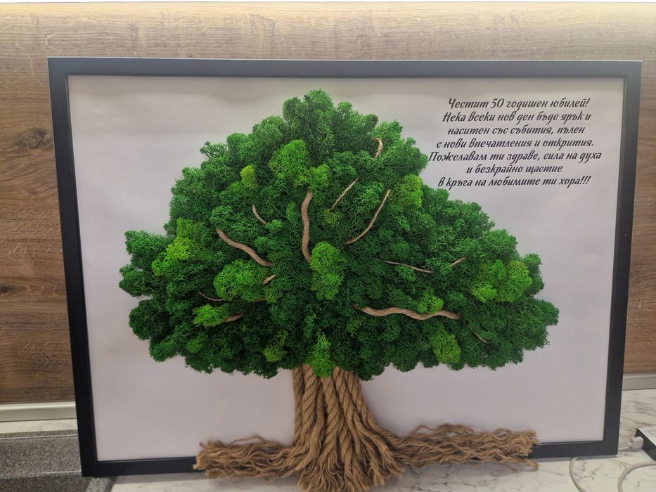 Дизайнерски картини от скандинавски мъх