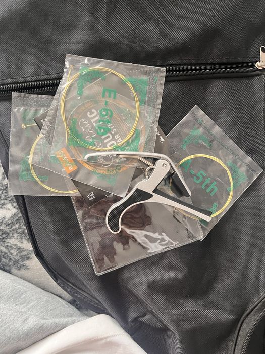 Гитара Roonie wood