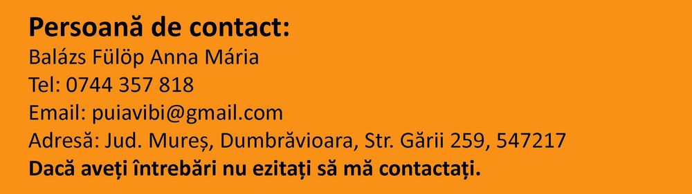 Pui rasă mixtă 16 zile – livrare en-gros direct din fermă săptămânală