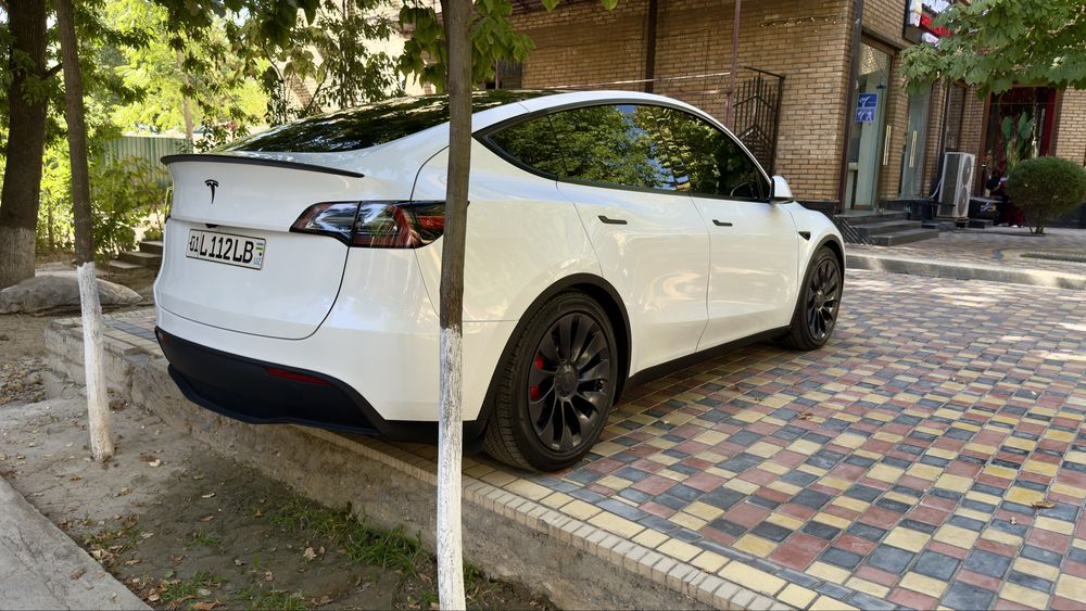 Tesla Model Y Perfomance 2024
