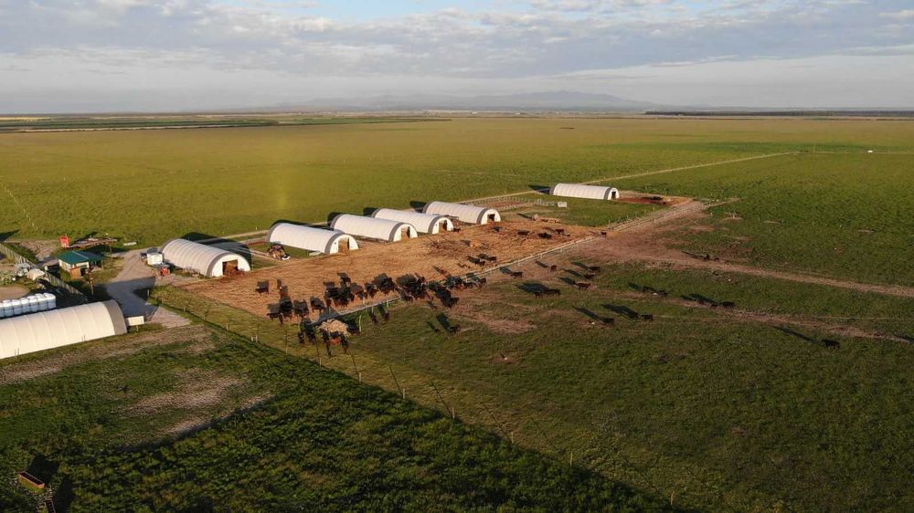 Полукръгла индустриална палатка 9,15 x 12 x 4,5 м за селско стопанство, съхранение на бали