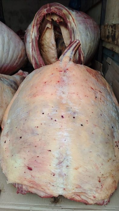 Байтал Мясо Конина