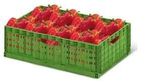 Ящик складной для овощей