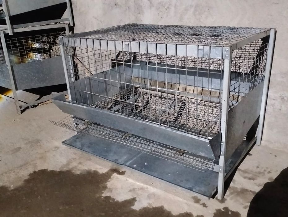 Куринная сетка продается