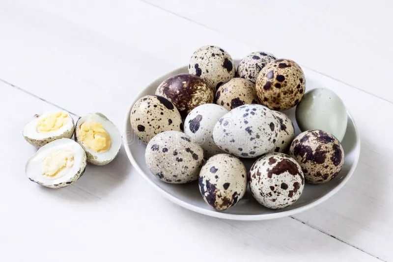 Пищевое Яицо Богатый Витаминами И Антиалергенными Свойствами Доставка