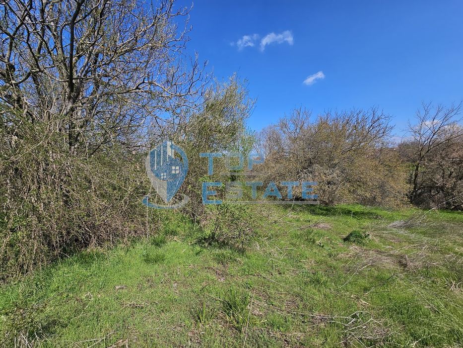 Голям парцел в регулация в южната част на село Хотница