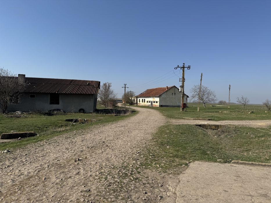 Ferma Bihor Salonta Baia Veche