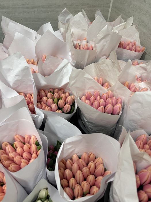 Lolo Тюльпаны оптом
