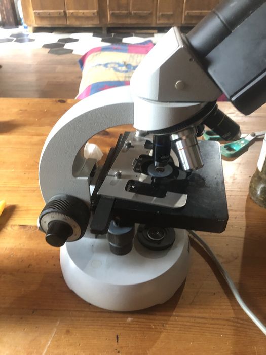 Microscop carl zeiss