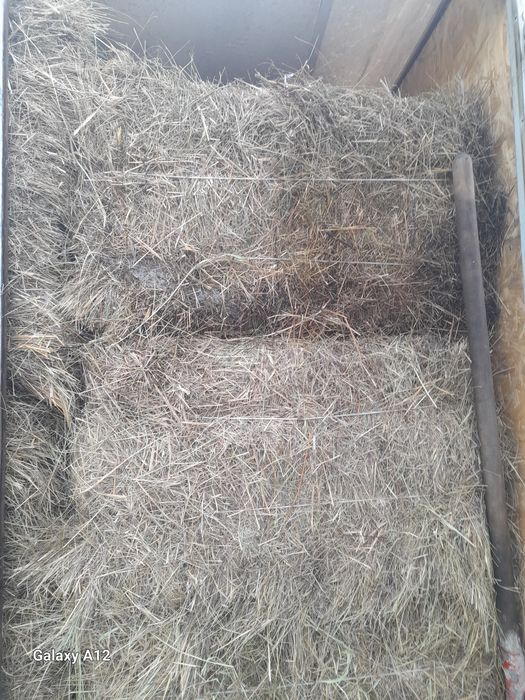 Продам сено тюках