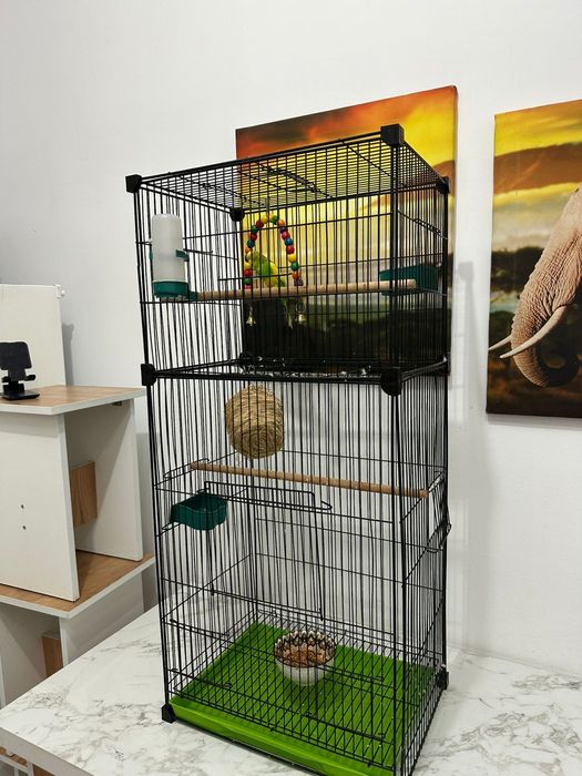 Попугай вместе с клеткой