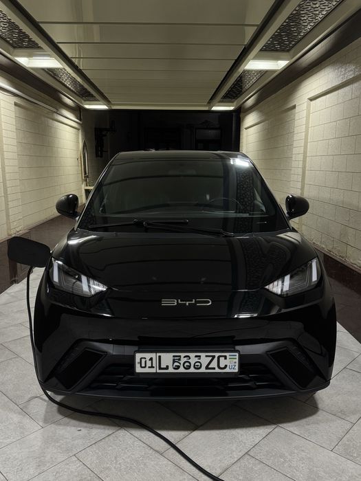 BYD seagull 405 km 2023 yil