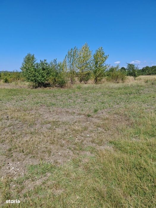 Bănești - teren intravilan 1501mp - 35 Euro/mp