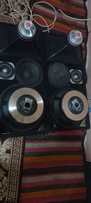 Sredni kalonka sotiladi