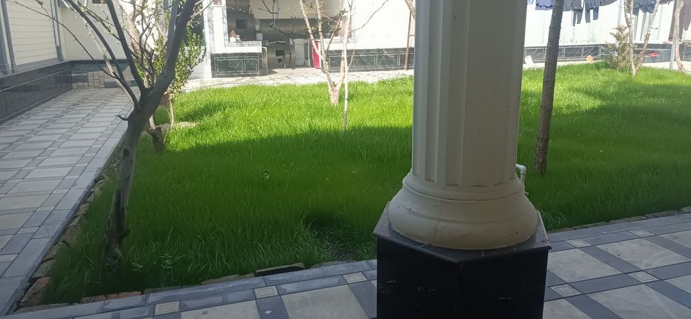 Газзон экиш парааришлаш хизмати.