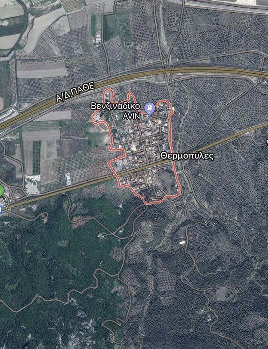 Măsline ( Kalamata (saramură)/Verzi (saramură)/Kalamata in ulei)