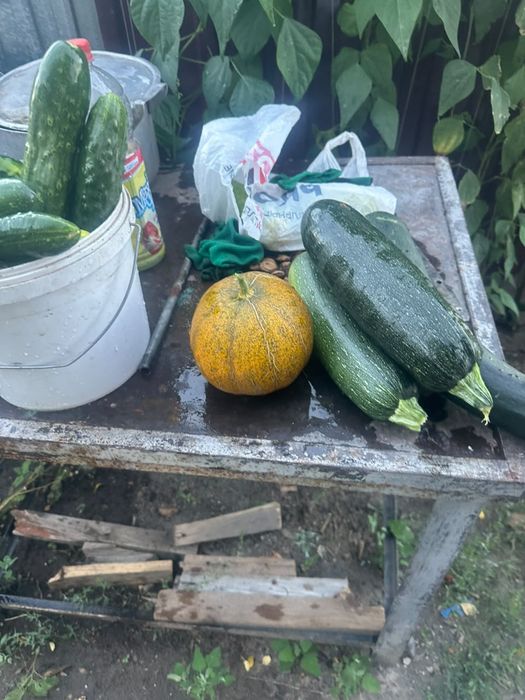 Продам .                            .