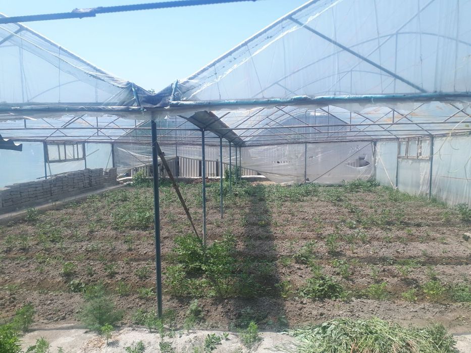 Парник сотилади Мустахкам бакувват.