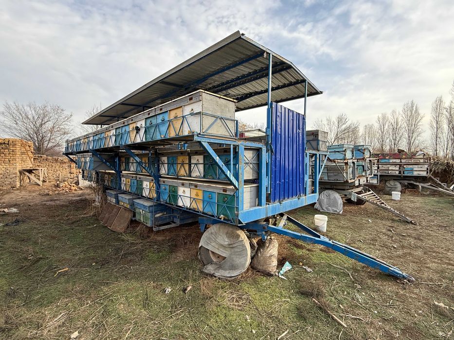 Продается пасека с прицепом