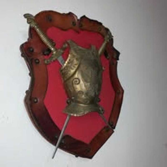 Panoplie sabii cu scut