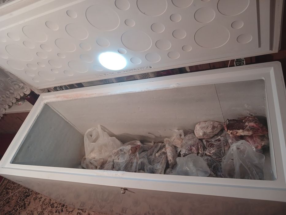 Морозильник Haier