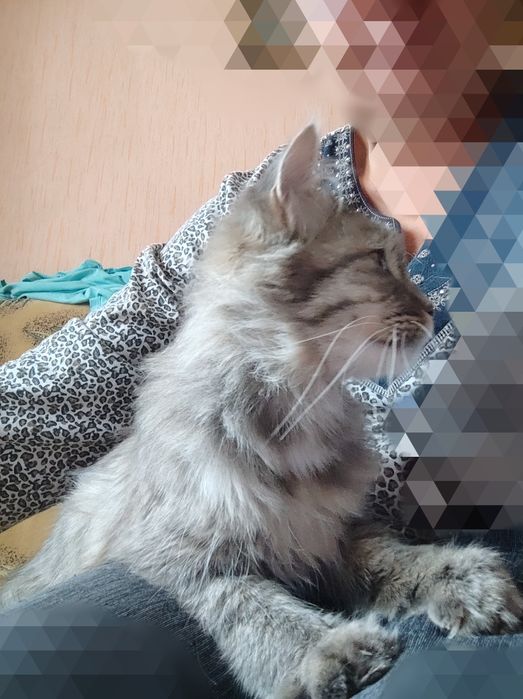 Стерильная девочка  7месяцев