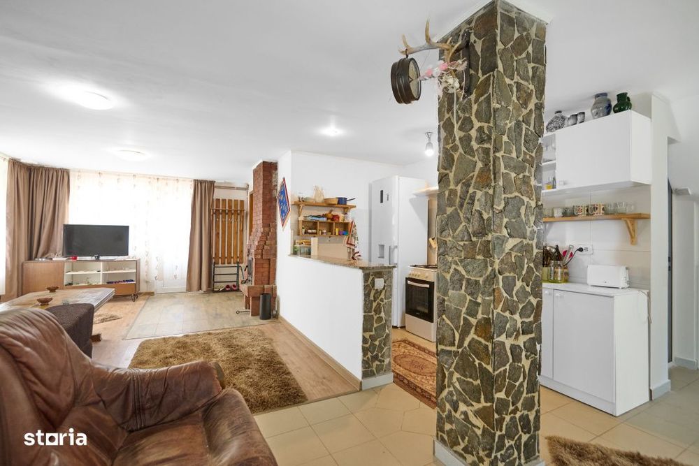 Casa Dambovicioara - CASA de vacanta sau PENSIUNE profitabila