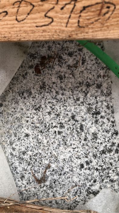 Scara Trepte si contratrepte marmura granit Travertin Piatra naturala