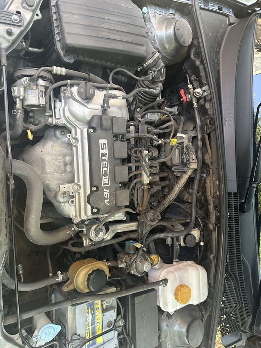 Тозза Жентра 2017