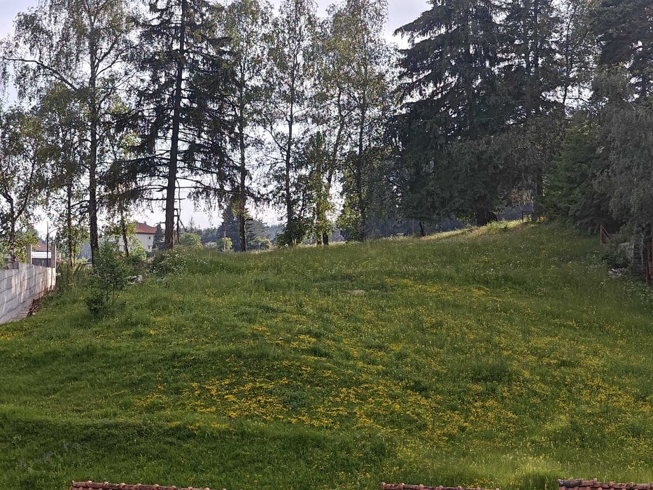 Урбанизиран поземлен имот в с. Юндола, община Велинград