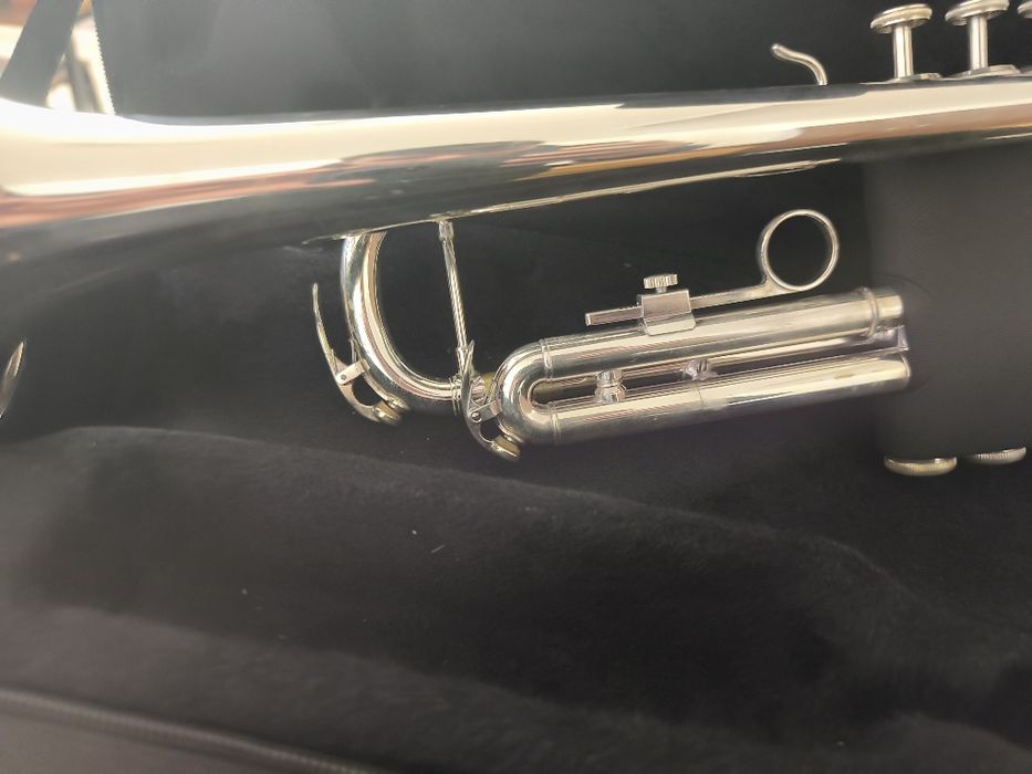 trompetă de vânzare