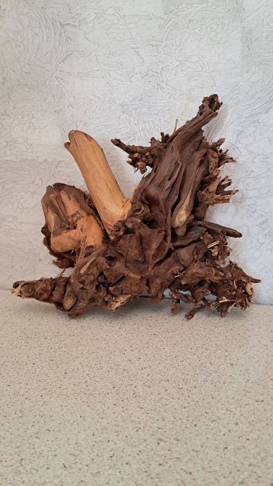 Африкански корен за аквариум