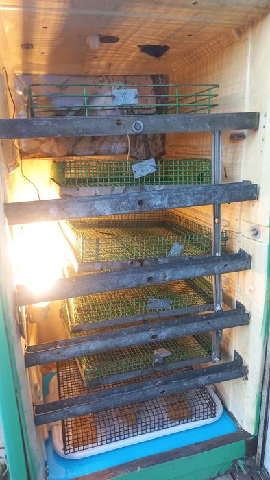 Инкубатор на 210 яйц