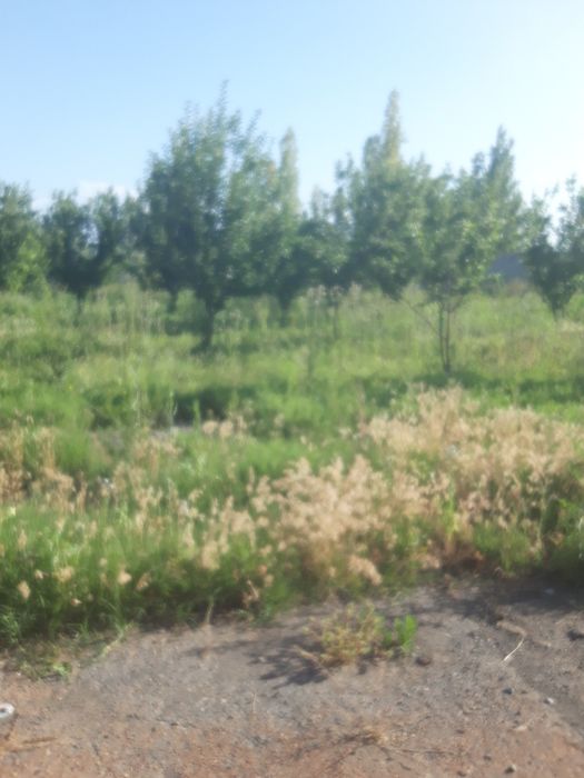 Нотурар ер сотилади. Фаргона шахарда