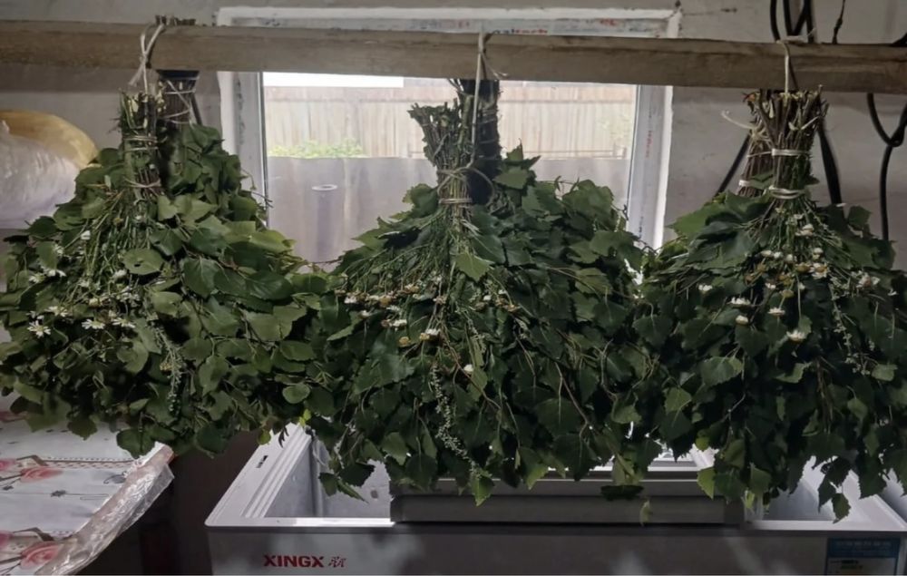 Продам березовые веники для бани оптом и в розницу