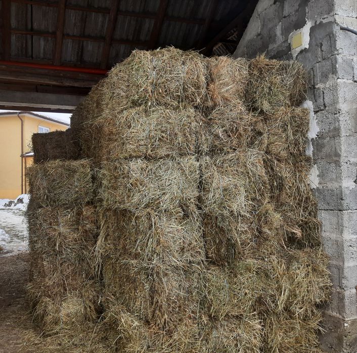 Baloti de ,fan ,otava ,lucerna