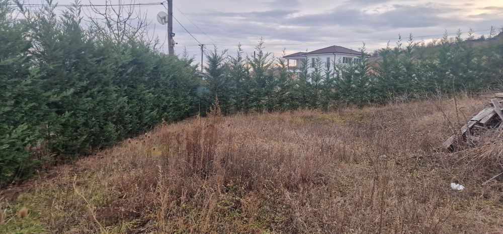 Vand teren intravilan 480 m2  Micesti Tarnita