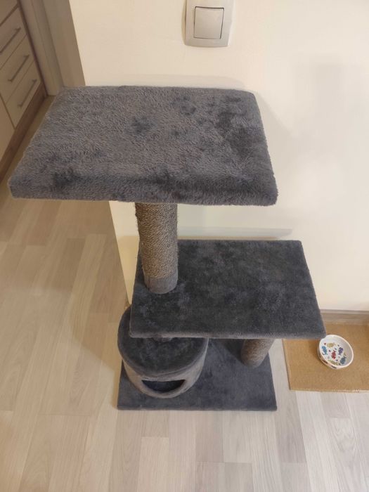 Котешка катерушка