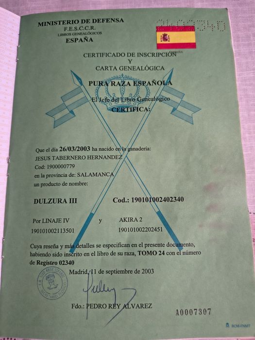 Andaluz iapa cu pașaport de Spania