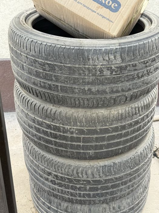 Жазгы покрышкалар